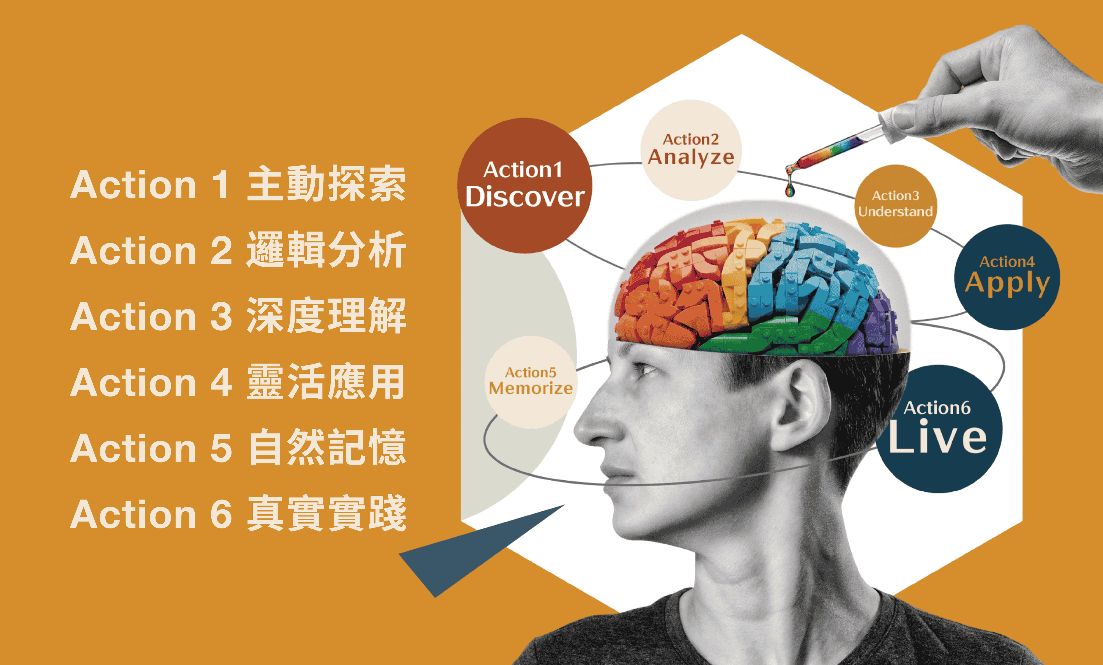 NOUVA-6-step-cognitive-cycle science pedagogy